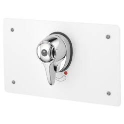 Armitage Shanks Thermostatic Shower & Mounting Box S6933 Steel