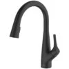 Clearwater Rosetta Pull Out Spray Filter Mixer Tap Black -Home Bathroom clearwater rol10mb