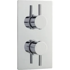Premier® Premier Quest Twin Thermostatic Shower Valve With Diverter