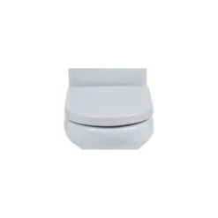 RAK Compact Rimless Soft Close Toilet Seat