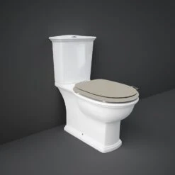RAK Washington WC With Push Button Cistern & Matt Cuppuccino Seat