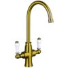 Trisen Rura Two Handle Kitchen Mixer Tap Brushed Gold -Home Bathroom trisen tk002bg